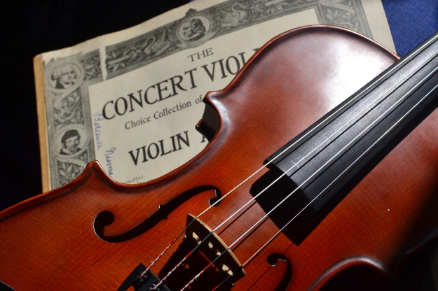 Violin &amp; concert violinist music